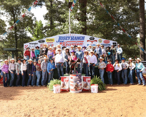 Josey Ranch News