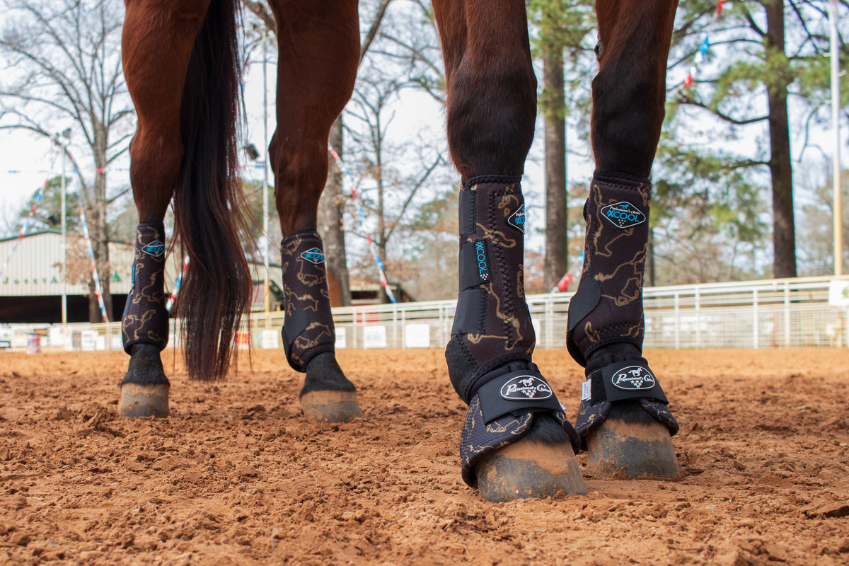 Buy Horse Leg Wraps No Bow in Canada | Back on Track Canada
