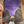 Load image into Gallery viewer, 13.5" Josey Mitchell Lightspeed W/ Purple Seat 202210646
