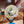Load image into Gallery viewer, 14" Josey Ultimate Cash 202211080