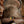 Load image into Gallery viewer, 13.5" Josey Mitchell Featherweight 20231319