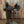 Load image into Gallery viewer, 14" Josey Mitchell Lightspeed 20233396