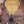 Load image into Gallery viewer, 12" Josey Mitchell Youth Avenger Rodeo 202412213