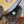 Load image into Gallery viewer, 13" Josey Mitchell "Get The Money" 202516211