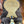 Load image into Gallery viewer, 13" Josey Mitchell "Get The Money" 202516211