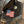 Load image into Gallery viewer, 13" Martha Josey Lightspeed 202516742
