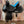 Load image into Gallery viewer, 12" JOSEY MITCHELL LIGHTSPEED 202517474