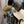 Load image into Gallery viewer, 13.5" Josey Cash Rancher Barrel 202517483