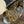 Load image into Gallery viewer, 15.5" JOSEY CASH RANCHER 202517486