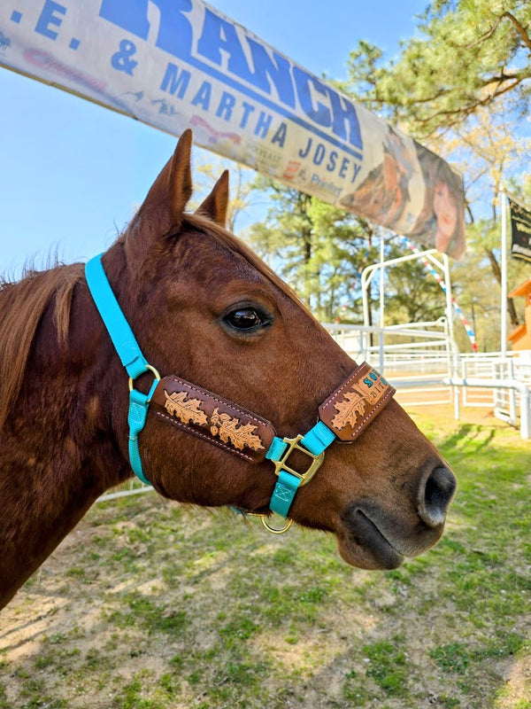 5 Star Oakleaf Name with Tooling halter