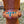 Load image into Gallery viewer, 5 Star Oakleaf Name with Tooling halter
