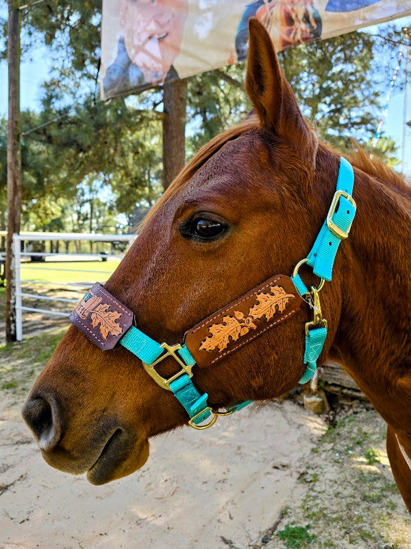 5 Star Oakleaf Name with Tooling halter