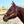 Load image into Gallery viewer, 5 Star Oakleaf Name with Tooling halter