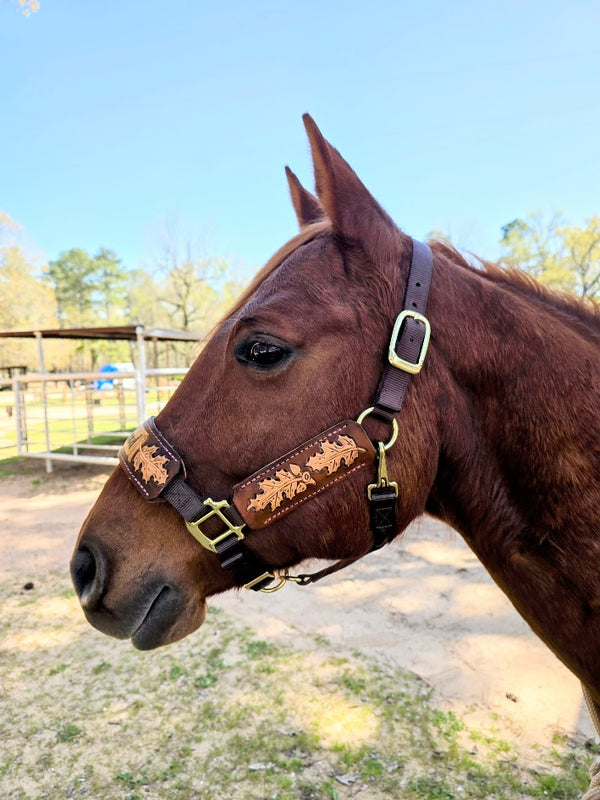 5 Star Oakleaf Name with Tooling halter