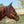 Load image into Gallery viewer, 5 Star Oakleaf Name with Tooling halter