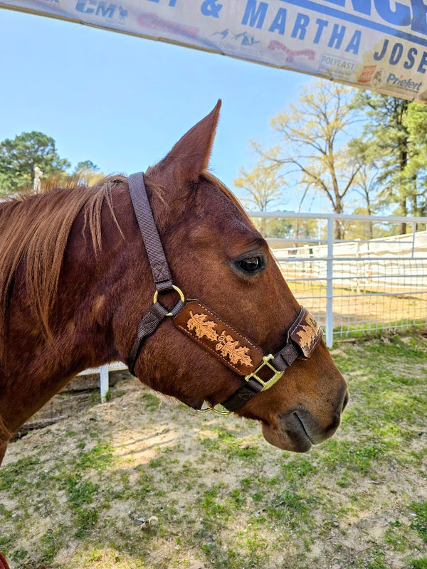 5 Star Oakleaf Name with Tooling halter
