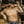 Load image into Gallery viewer, Cowgirl Tuff Pullover Button-Up (Tan Snake Mid-weight Faux Stretch Leather)