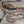 Load image into Gallery viewer, Circle Y Gauge Tack Set