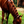 Load image into Gallery viewer, Black Braid Bands 500 Pack