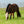 Load image into Gallery viewer, Cashel Econo Fly Mask