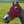Load image into Gallery viewer, Hidez Compression Hood- Multi Colors