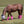 Load image into Gallery viewer, Crusader Fly Leg Guards