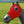 Load image into Gallery viewer, Hidez Compression Hood- Multi Colors