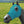 Load image into Gallery viewer, Hidez Compression Hood- Multi Colors