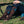 Load image into Gallery viewer, Fringe Long Live Brown Western Cowboy Performance Socks