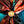 Load image into Gallery viewer, Double S Collection Scarf Slides Assorted Styles