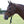Load image into Gallery viewer, Easy on Rope Halter