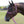 Load image into Gallery viewer, Easy on Rope Halter