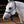 Load image into Gallery viewer, Easy on Rope Halter