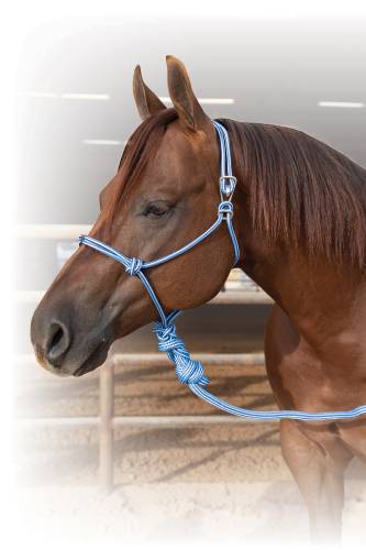 Easy on Rope Halter