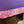 Load image into Gallery viewer, 5 Star 3/4" Flex 30x30 Purple Saddle Pad