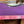 Load image into Gallery viewer, 5 Star 3/4" Flex 30x30 Purple Saddle Pad