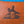 Load image into Gallery viewer, 5 Star  7/8" Turquoise All Around 30x30 Wool Saddle Pad "Isaiah 40:30"