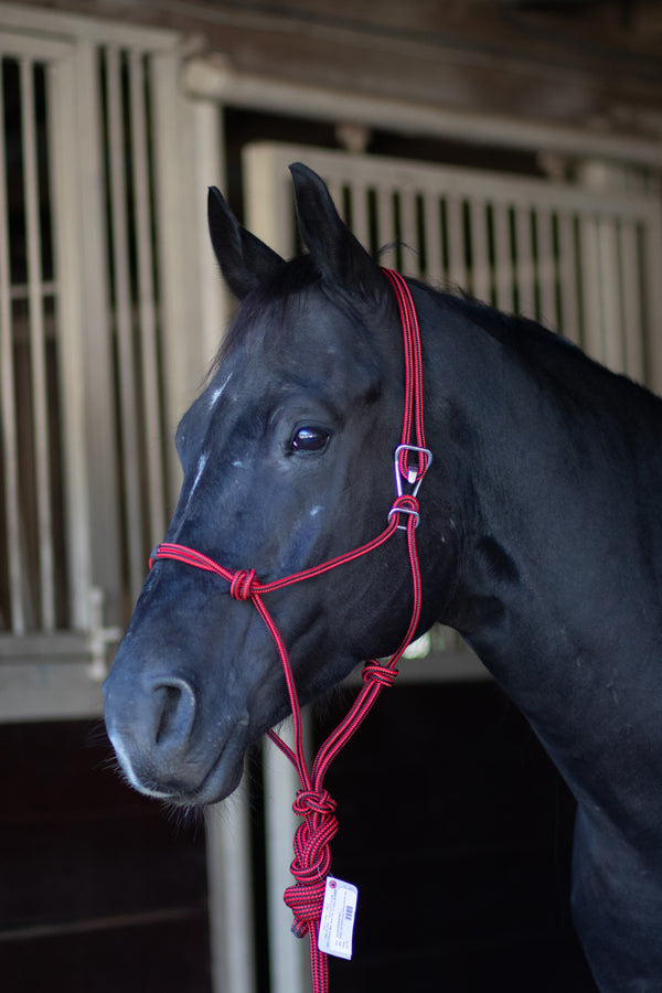 Professionals Choice Rope Halter with Quick Release Hook