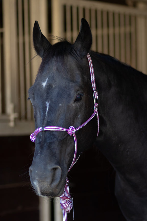 Professionals Choice Rope Halter with Quick Release Hook