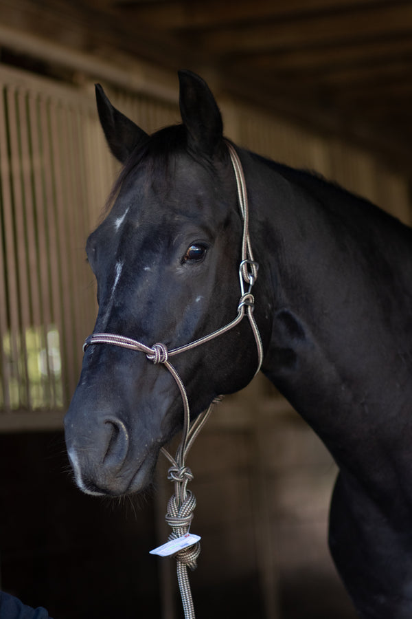 Professionals Choice Rope Halter with Quick Release Hook