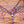 Load image into Gallery viewer, Stunning Bright Pink w/Cheetah & Fringe