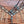 Load image into Gallery viewer, Gator w/Cross Stitch & Natural Turquoise Accents