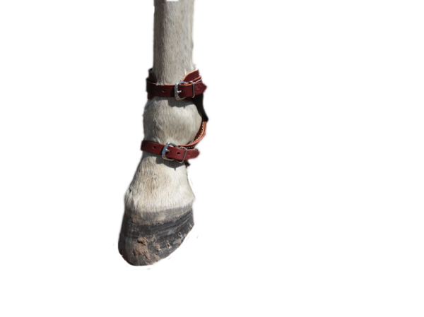 Skid Boots by Tod Slone