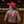 Load image into Gallery viewer, LEOPARD & BLOOM RODEO SHIRT by RANCH DRESSN
