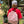 Load image into Gallery viewer, Cinch Backpack
