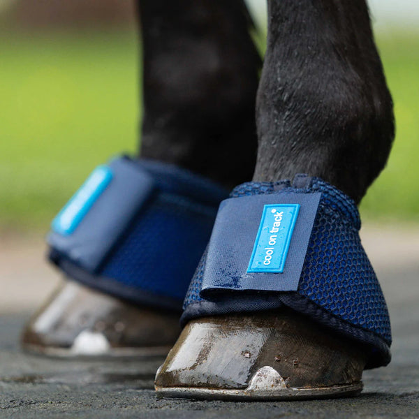 Cool on Track Horse Bell Boots by Back on Track