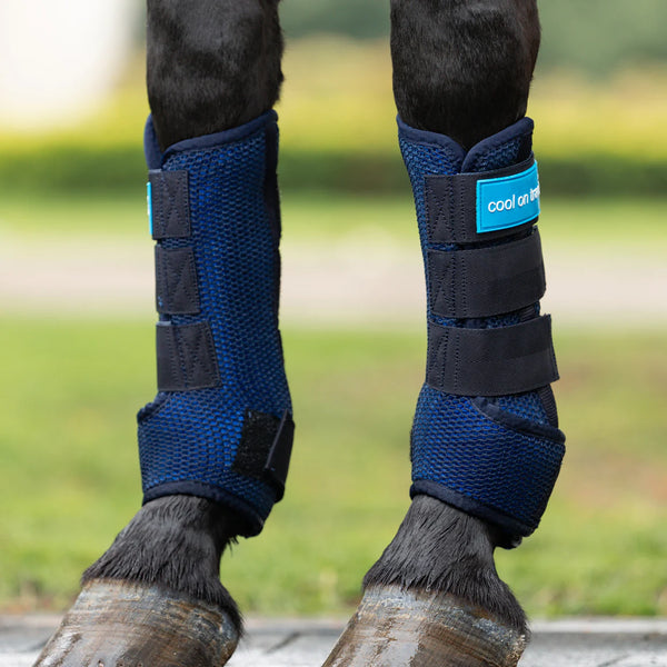 Cool on Track Horse Quick Wraps by Back on Track