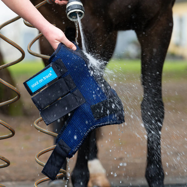 Cool on Track Horse Quick Wraps by Back on Track