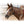 Load image into Gallery viewer, Lariat Rope Training Halter