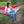 Load image into Gallery viewer, Circle Y Day Trip Hammock